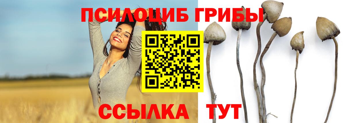 сколько стоит  Псилоцибиновые грибы мицелий  Санкт-Петербург  Вход с VPN  Псилоцибиновые грибы мухоморы 